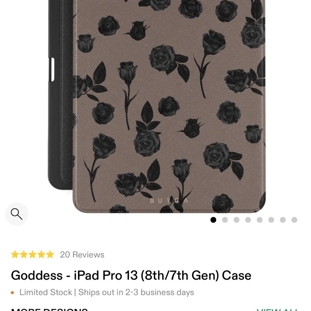 iPad Case 13